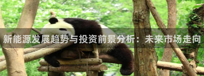 新宝GG娱:新能源发展趋势与投资前景分析:未来市场走向