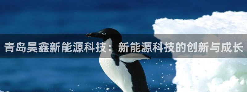 新宝gg建立团队:青岛昊鑫新能源科技:新能源科技的创新与成长