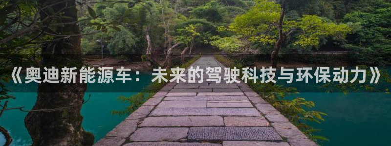 新宝GG挂机:《奥迪新能源车:未来的驾驶科技与环保动力》