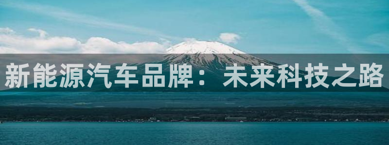 新宝+gg+登录:新能源汽车品牌:未来科技之路